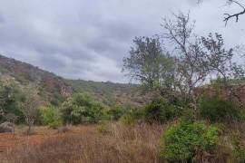 Authentic Portuguese country house with 4ha in protected area – Loulé Authentic Portuguese country house with 4ha in protected area – Loulé