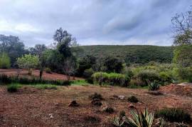 Authentic Portuguese country house with 4ha in protected area – Loulé Authentic Portuguese country house with 4ha in protected area – Loulé