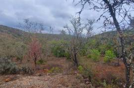 Authentic Portuguese country house with 4ha in protected area – Loulé Authentic Portuguese country house with 4ha in protected area – Loulé