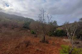 Authentic Portuguese country house with 4ha in protected area – Loulé Authentic Portuguese country house with 4ha in protected area – Loulé