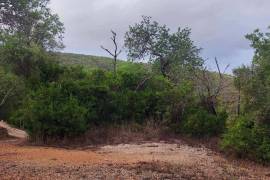 Authentic Portuguese country house with 4ha in protected area – Loulé Authentic Portuguese country house with 4ha in protected area – Loulé