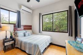 Laughing Gecko Suites: Beach Suites / Boutique Hotel For Sale