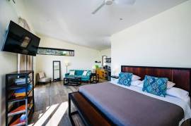 Casa Arcadia: Ocean-View Home with Two Income-Producing Studios