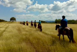 El Jaguar - Phase B: La Sabana | Inspired by Nature, Designed for Connection in the Heart of Hacienda Pinilla El Jaguar - Phase B: La Sabana | Inspired by Nature, Designed for Connection in the Heart of Hacienda Pinilla