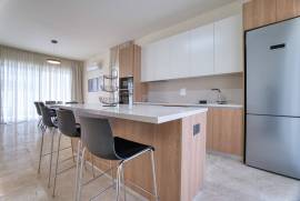 3 Bedroom Brand New Villa - Emba, Paphos