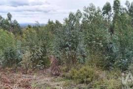 Terreno Agrícola em Graça