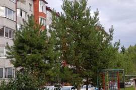 Квартира рядом с парком