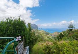 House - 3 Bedrooms - Porto da Cruz