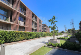 One Place, A Lifetime