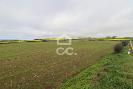 Land with 24080m2 - Grass - Ponta Delgada
