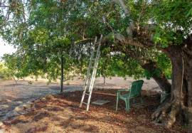 Private and modular house, in the heart of nature in Moncarapacho