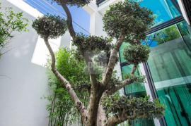 A Palatial Paradise in Quinta Do Lago