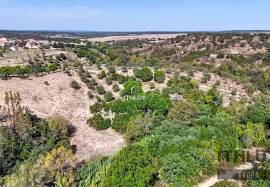 Rustic Land 7240 m2 , with mains water , Ciborro