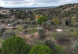 Rustic Land 7240 m2 , with mains water , Ciborro