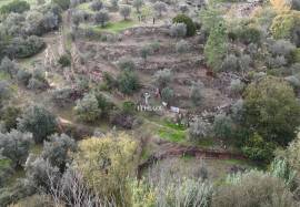 Rustic Land 7240 m2 , with mains water , Ciborro