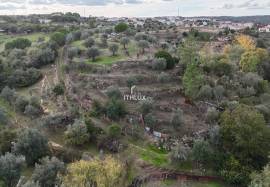 Rustic Land 7240 m2 , with mains water , Ciborro