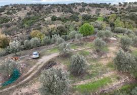Rustic Land 7240 m2 , with mains water , Ciborro