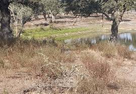 Herdade Ganadeira in Arraiolos – 223 Hectares