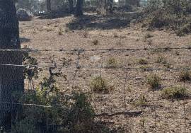 Herdade Ganadeira in Arraiolos – 223 Hectares