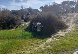 Herdade Ganadeira in Arraiolos – 223 Hectares