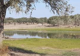Herdade Ganadeira in Arraiolos – 223 Hectares