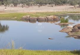 Herdade Ganadeira in Arraiolos – 223 Hectares