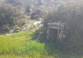 Herdade Ganadeira in Arraiolos – 223 Hectares