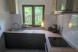 Estate of 2 Houses For Sale in Bicaz