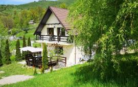 Estate of 2 Houses For Sale in Bicaz