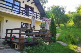 Estate of 2 Houses For Sale in Bicaz