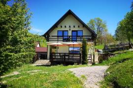 Estate of 2 Houses For Sale in Bicaz