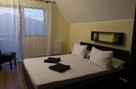 Estate of 2 Houses For Sale in Bicaz