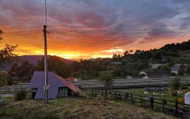 Estate of 2 Houses For Sale in Bicaz