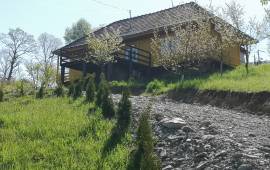 Estate of 2 Houses For Sale in Bicaz