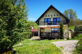 Estate of 2 Houses For Sale in Bicaz