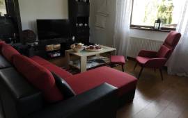 Estate of 2 Houses For Sale in Bicaz