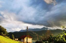 Estate of 2 Houses For Sale in Bicaz