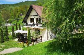 Estate of 2 Houses For Sale in Bicaz