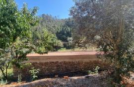 Stunning 4 Bed House For Sale In Cortegaça Stunning 4 Bed House For Sale In Cortegaça