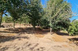 Stunning 4 Bed House For Sale In Cortegaça Stunning 4 Bed House For Sale In Cortegaça