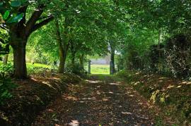 Luxury 5 Bed Le Manoir de Dougeru For Sale at Saint-Aubin-de-Terregatte Normandy