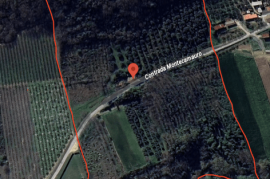 Excellent 3 Bed Farmhouse for Renovation for Sale In Campofilone Fermo Marche