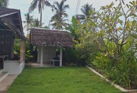 Excellent 3 Bed House for Sale in Siargao Island