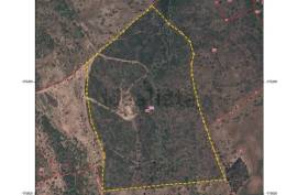 Luxury 5 Bed Estate For Sale In Grandola Lisboa