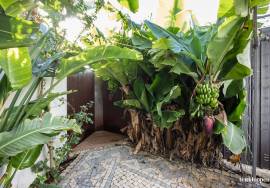 3 Bedroom Villa for refurbishment plus modernized Annex with income.