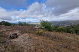 Rustic land | countryside view | agriculture Rustic land | countryside view | agriculture