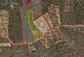 Rustic land | countryside view | agriculture Rustic land | countryside view | agriculture