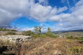 Rustic land | countryside view | agriculture Rustic land | countryside view | agriculture