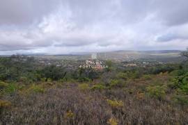 Rustic land | countryside view | agriculture Rustic land | countryside view | agriculture