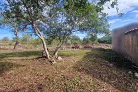 Ruin | Project approved | 1+1 bedroom villa | terrain